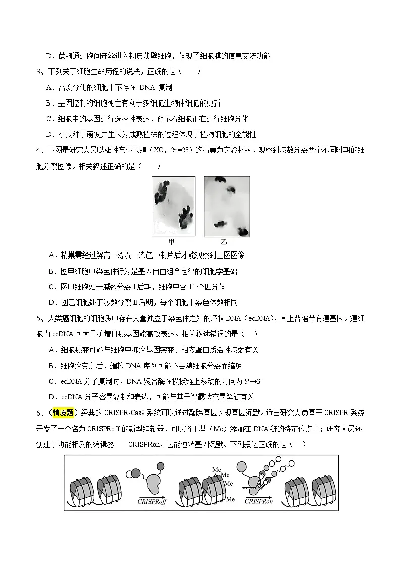 2025年高考押题预测卷:生物(江苏卷01)(考试版)第2页