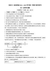 福建省龙岩市一级校联盟2024-2025学年高二下学期4月期中生物试题（原卷版+解析版）