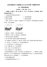 安徽省合肥市普通高中六校联盟2024-2025学年高一下学期4月期中生物试题（原卷版+解析版）