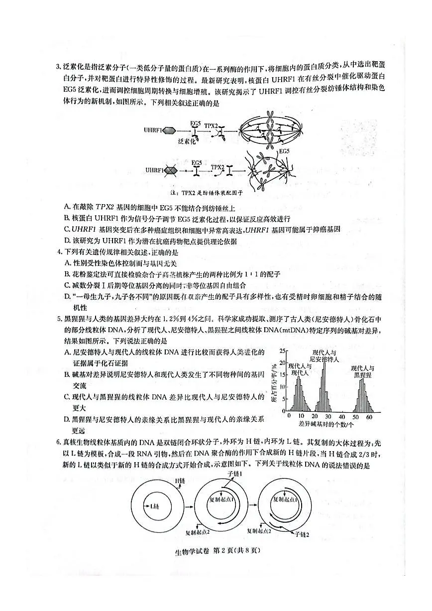 湖南省长郡二十校联盟2025届高三第二次联考 生物试题(含答案)第2页
