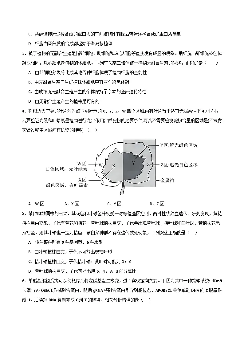 2025年高考押题预测卷:生物(河南卷01)(考试版)第2页