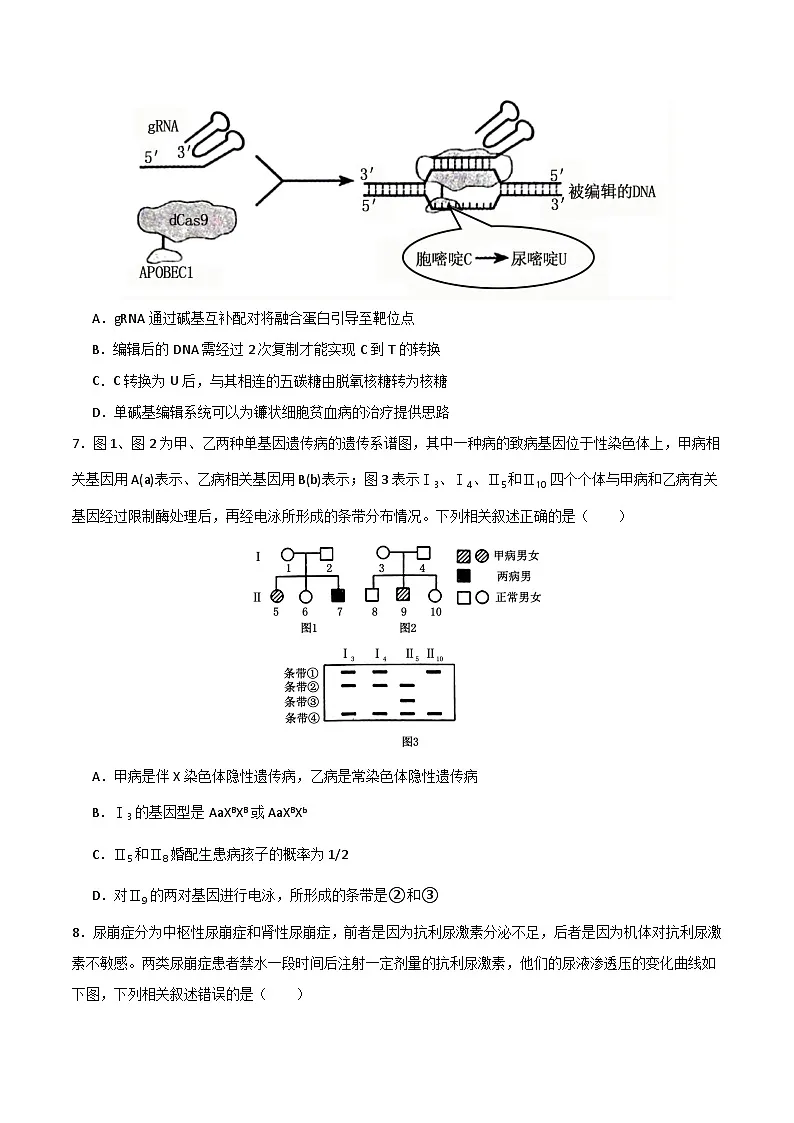 2025年高考押题预测卷:生物(河南卷01)(考试版)第3页