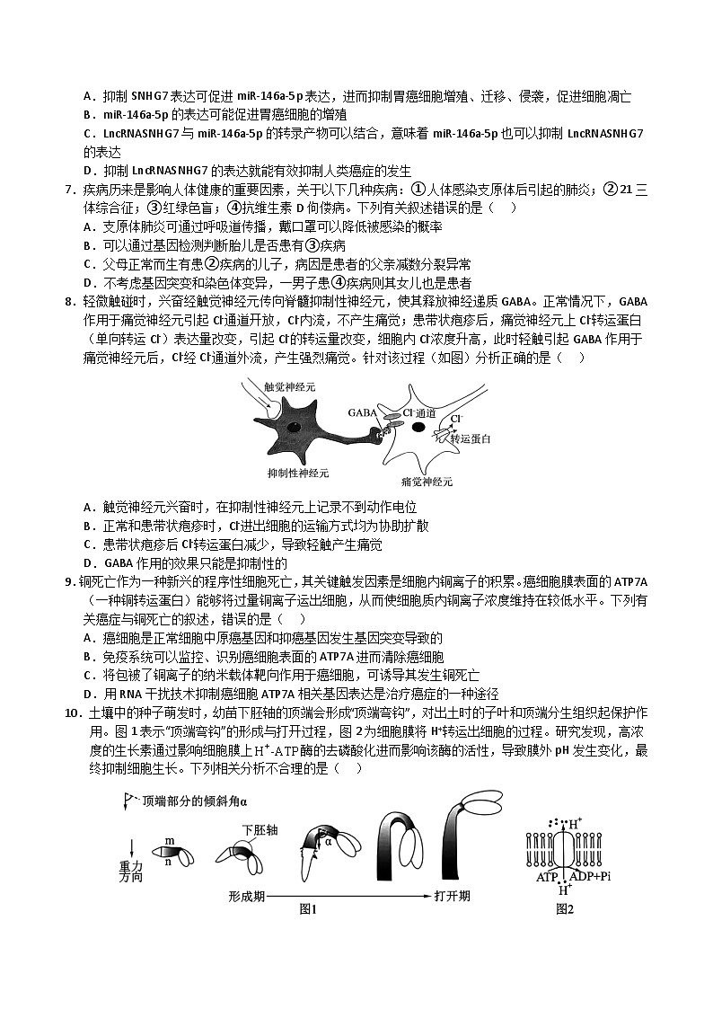 2025年高考押题预测卷:生物(云南卷01)(考试版)第3页