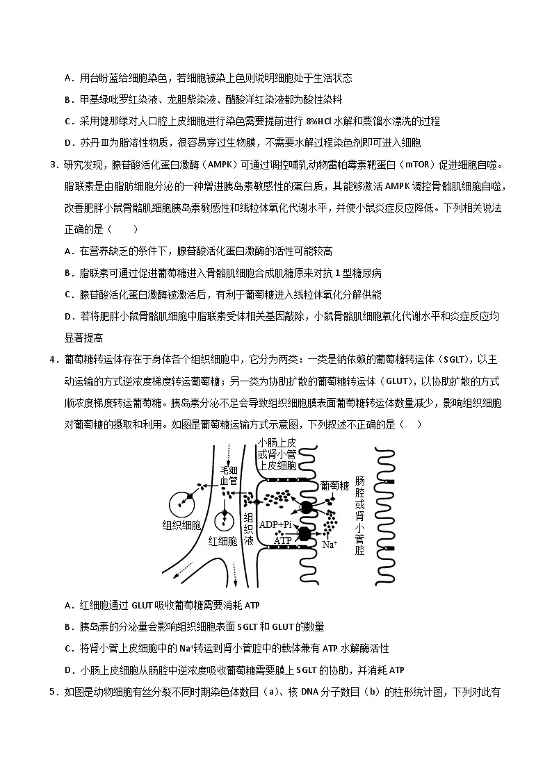 2025年高考押题预测卷:生物(云南卷02)(考试版)第2页