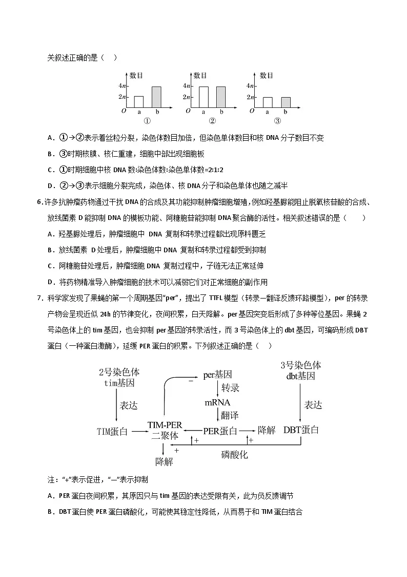 2025年高考押题预测卷:生物(云南卷02)(考试版)第3页