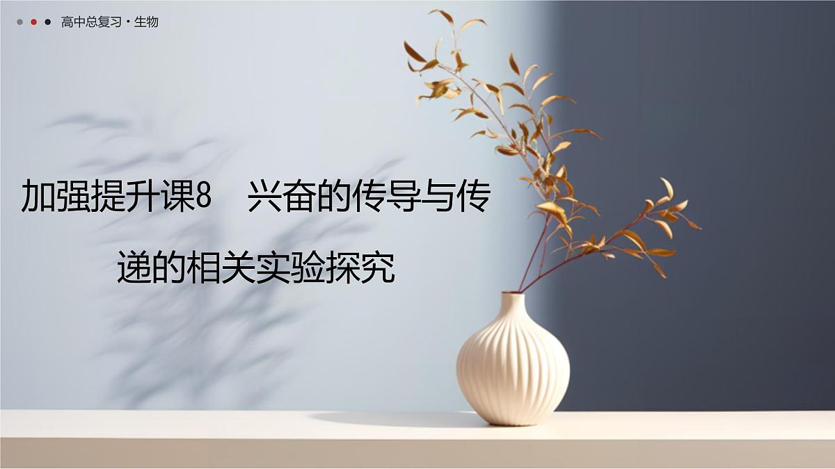 第八单元 2026届高中生物学一轮复习 加强提升课8 兴奋的传导与传递的相关实验探究 课件第1页