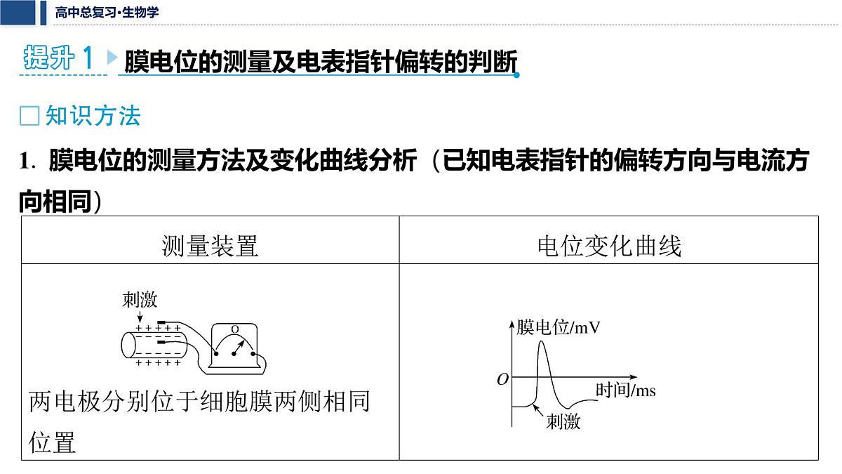 第八单元 2026届高中生物学一轮复习 加强提升课8 兴奋的传导与传递的相关实验探究 课件第2页