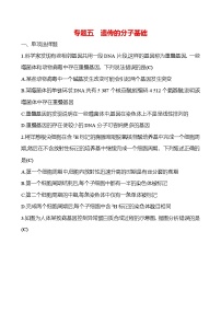 2025版高考生物热点题型与考点专练专题五遗传的分子基础试题（Word版附答案）