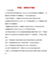 2025版高考生物热点题型与考点专练专题五遗传的分子基础试题(Word版附答案)
