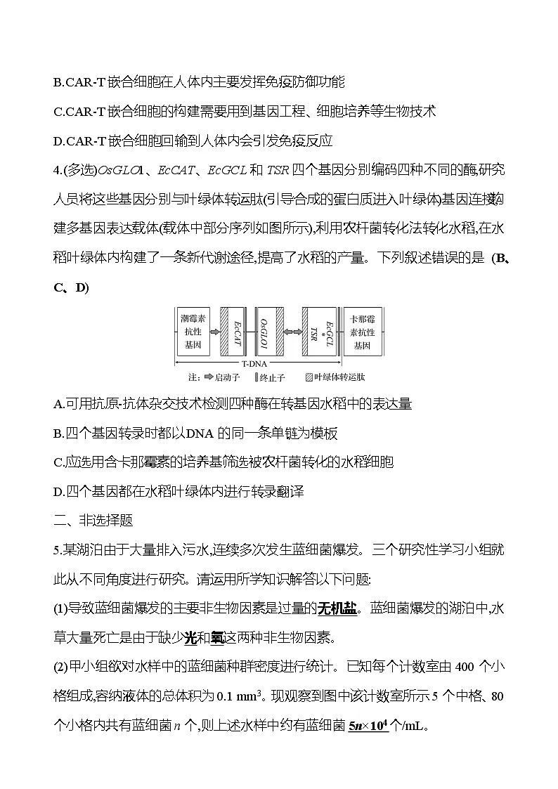 2025版高考生物热点题型与考点专练专题九生物技术与工程(B卷)试题(Word版附答案)第2页