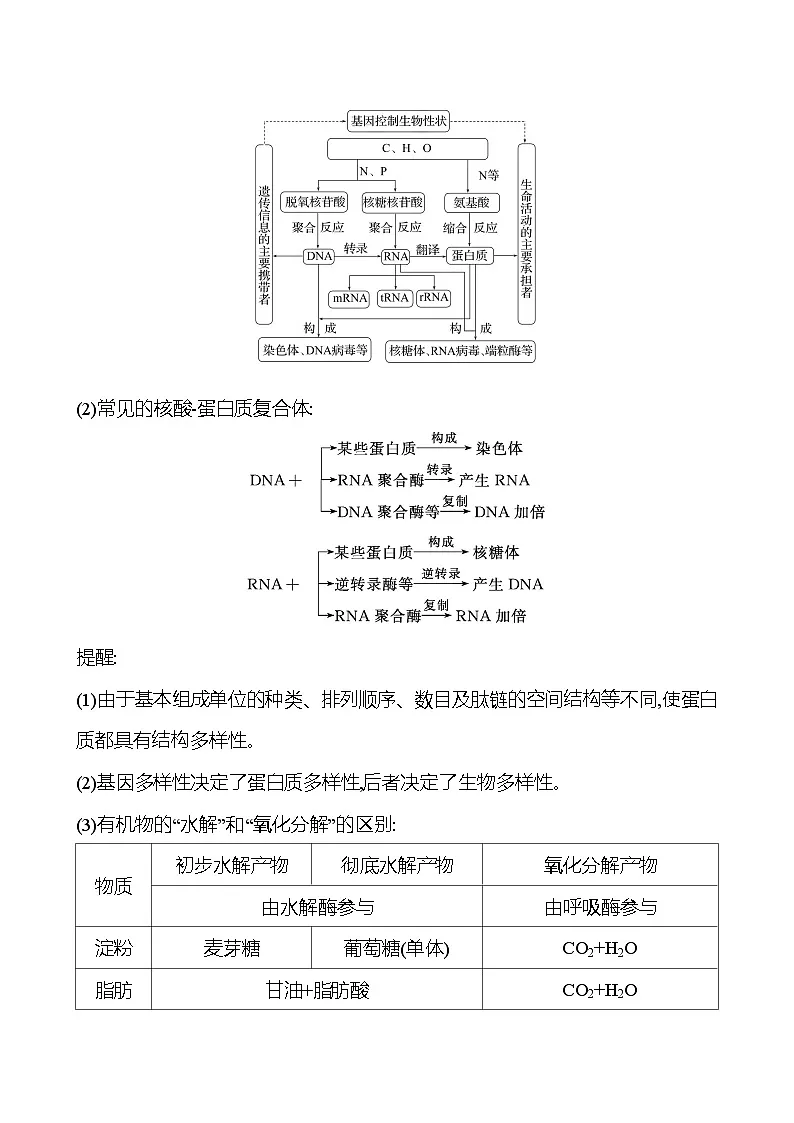 2025版高考生物热点题型与考点专练一必考热点一细胞的基本组成和物质运输试题(Word版附答案)第3页
