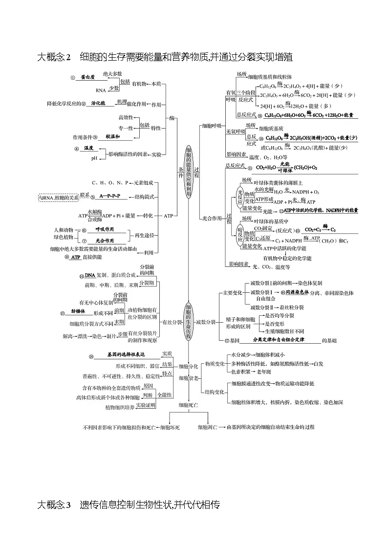 2025版高考生物热点题型与考点专练四大概念自查篇10个大概念网络务必要融会贯通试题(Word版附答案)第2页