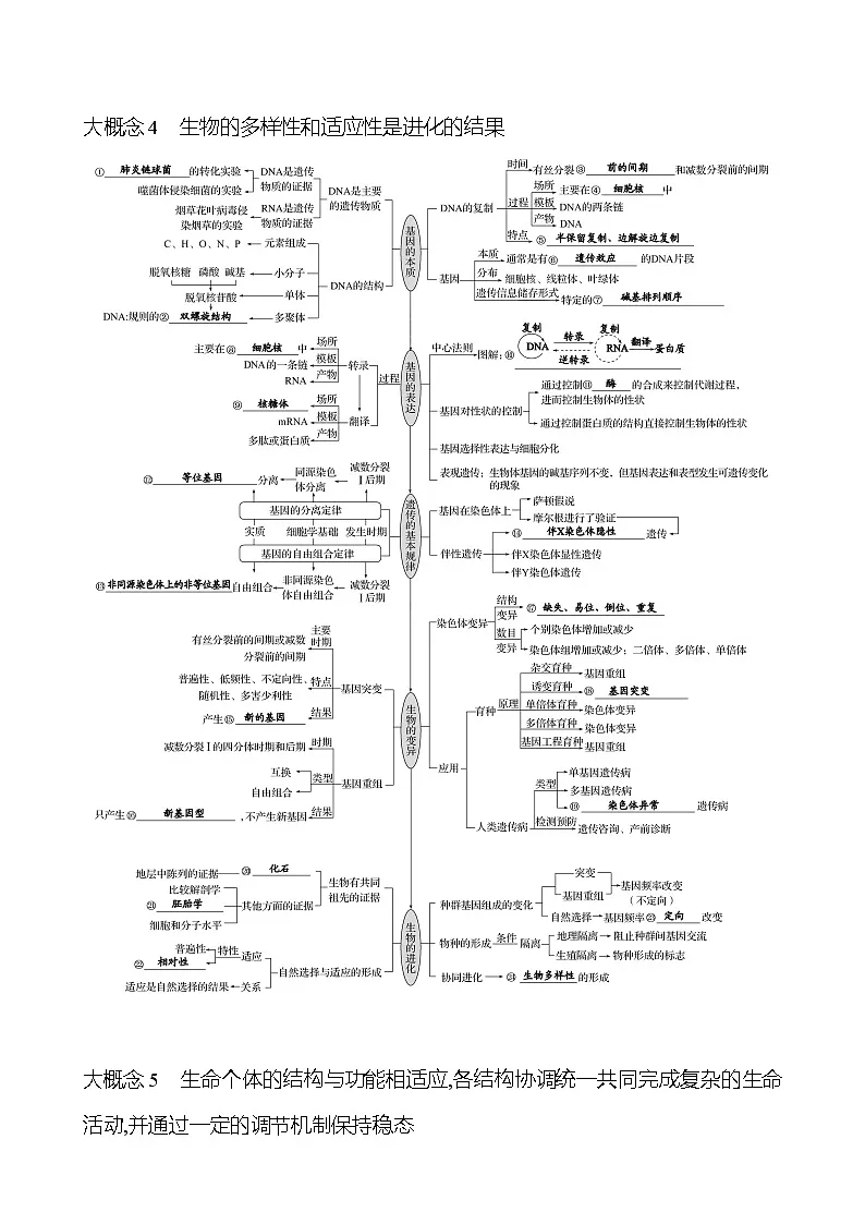 2025版高考生物热点题型与考点专练四大概念自查篇10个大概念网络务必要融会贯通试题(Word版附答案)第3页