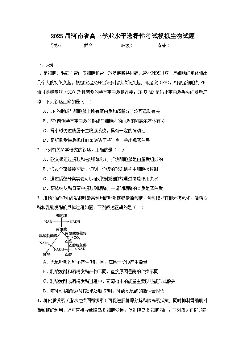 2025届河南省高三学业水平选择性考试模拟生物试题(无答案)第1页