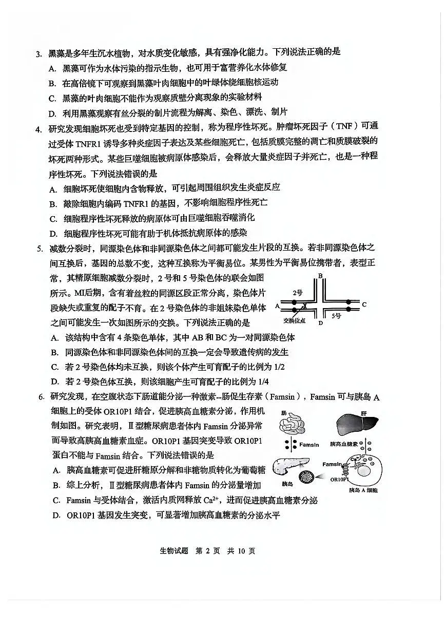 生物丨山东省青岛市、淄博市2025届高三下学期5月第二次适应性检测(青岛二模和淄博二模)试卷及答案第2页