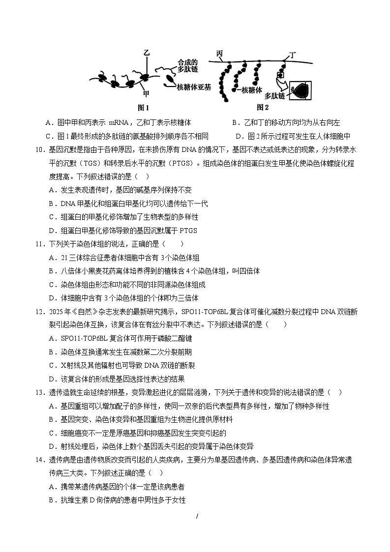 高一生物月考卷【测试范围:苏教版2019必修二全本】(考试版)(江苏专用)第3页