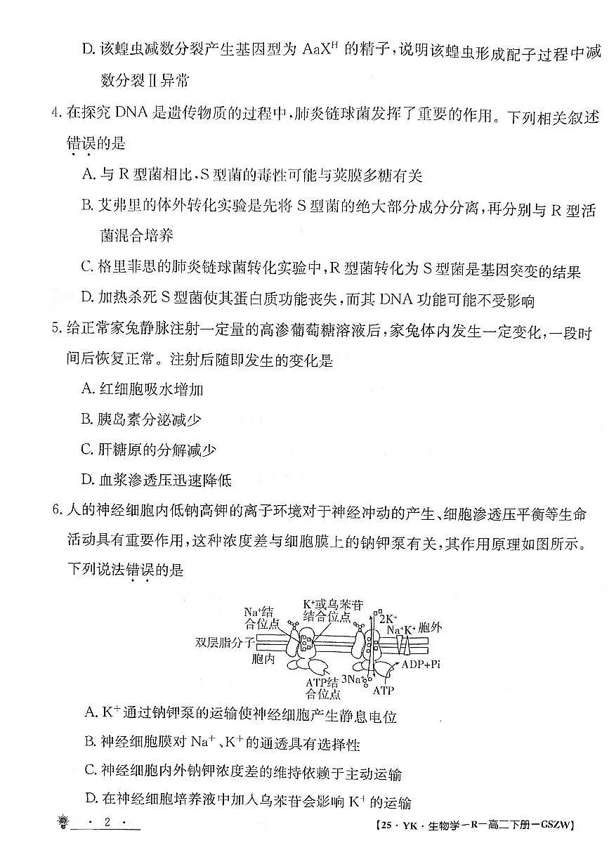 甘肃白银靖远县2023-2024学年高二下学期6月期末模拟考试 生物试卷(含答案)第2页