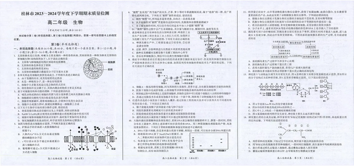 广西桂林市2023-2024学年高二下学期期末质量检测 生物试卷(含答案)第1页