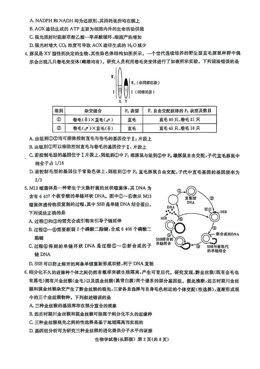 湖南炎德·英才大联考长郡中学2025届高三模拟试卷(一)生物+答案含答案解析第2页