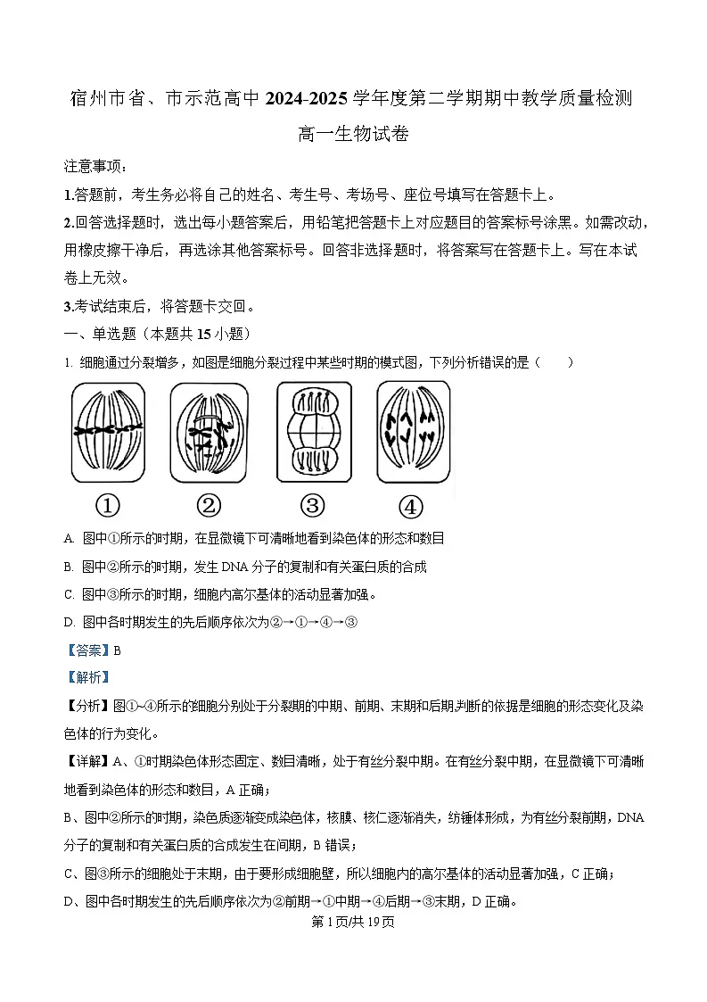 安徽省宿州市省、市示范高中2024-2025学年高一下学期期中教学质量检测生物试卷 Word版含解析第1页