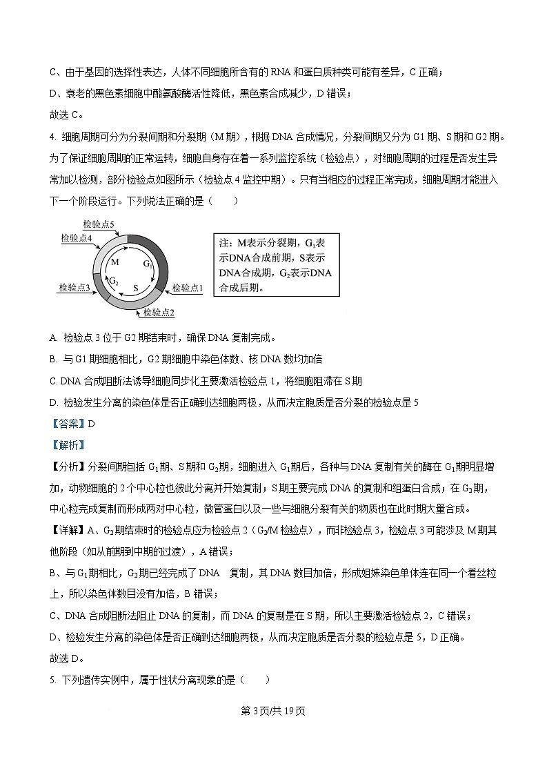 安徽省宿州市省、市示范高中2024-2025学年高一下学期期中教学质量检测生物试卷 Word版含解析第3页