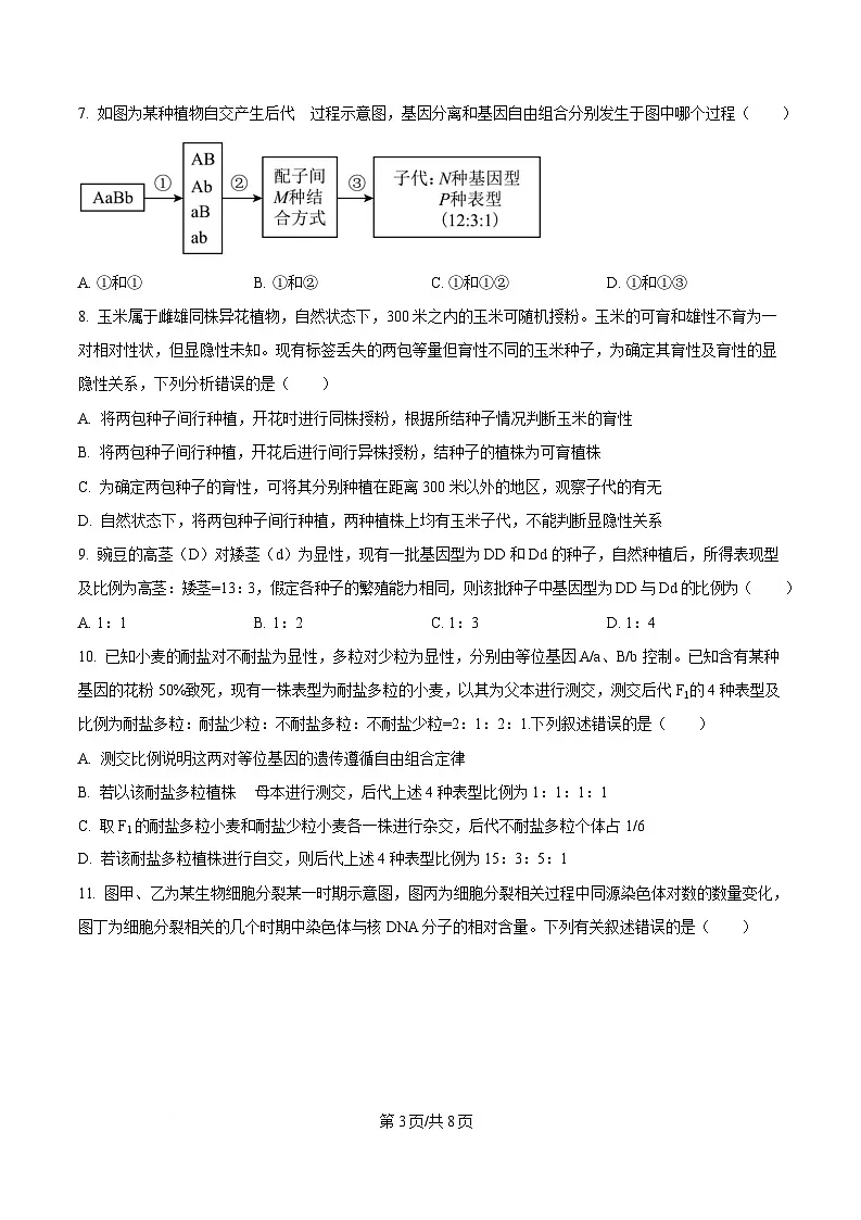 安徽省宿州市省、市示范高中2024-2025学年高一下学期期中教学质量检测生物试卷(原卷版)第3页