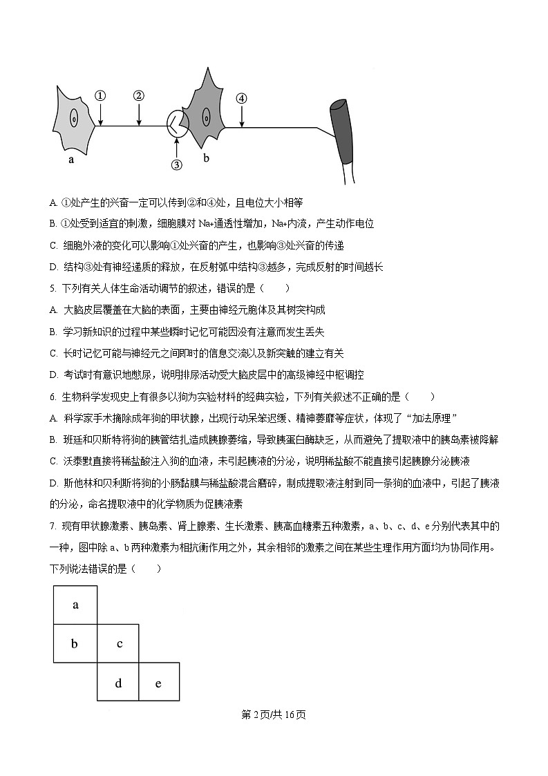 黑龙江省大庆市实验中学2024-2025学年高二上学期期末考试生物试卷(原卷版)第2页