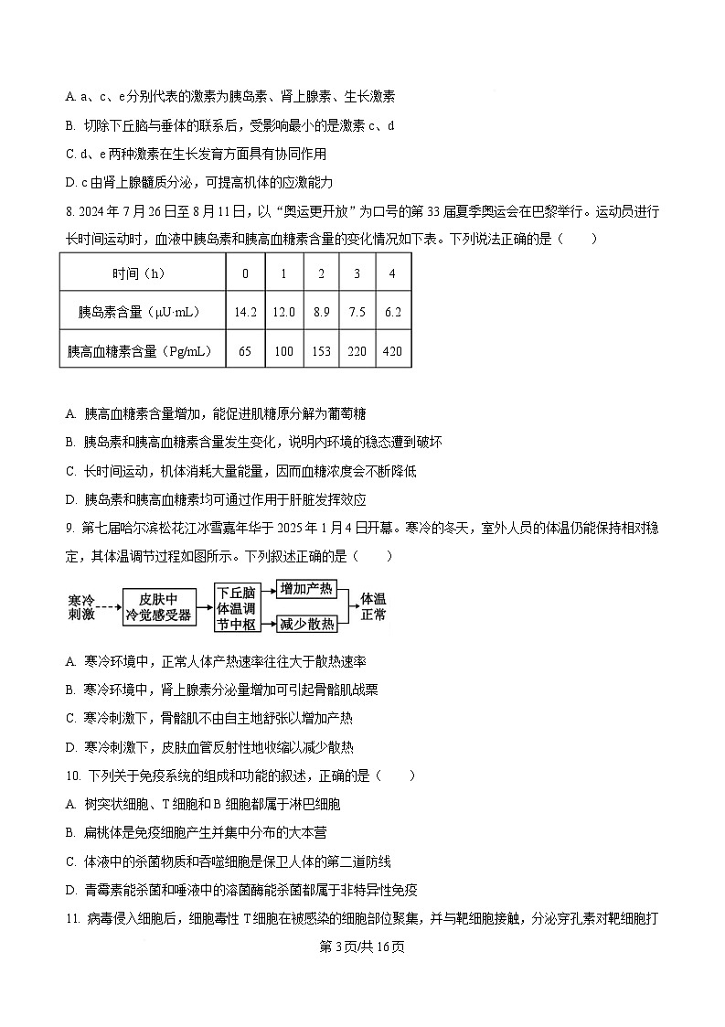 黑龙江省大庆市实验中学2024-2025学年高二上学期期末考试生物试卷(原卷版)第3页