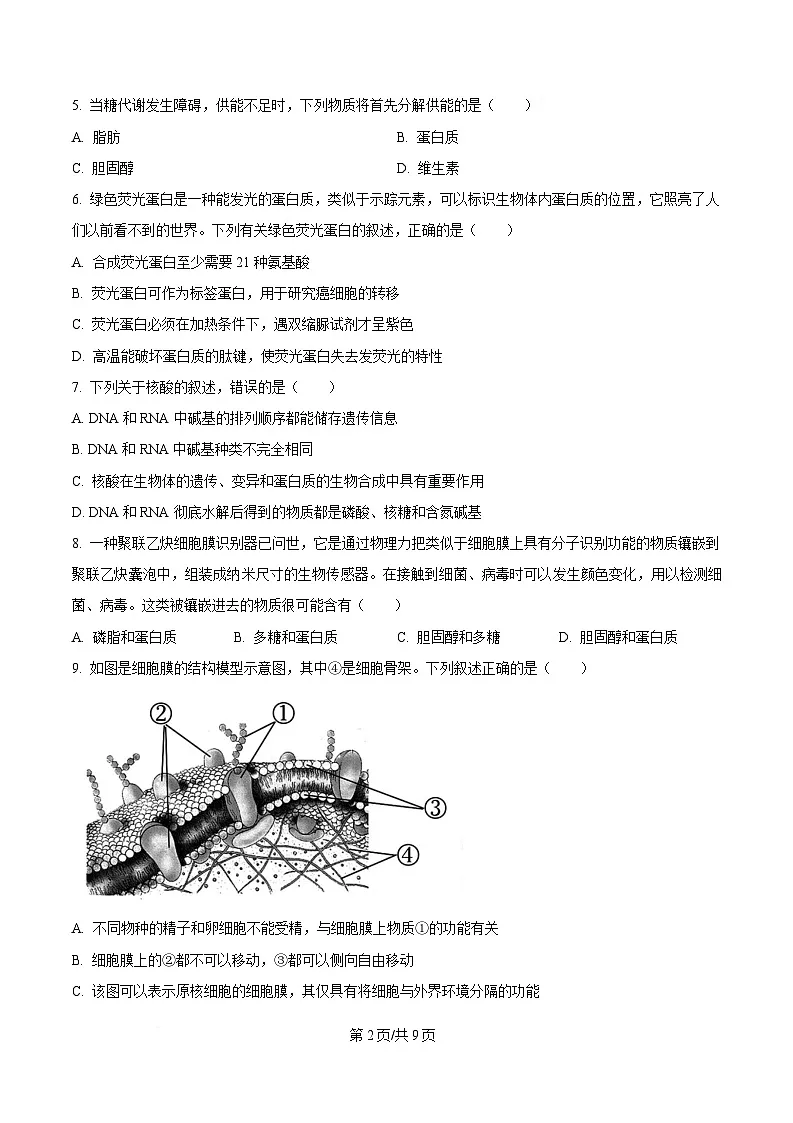 黑龙江省大庆市让胡路区大庆中学2024-2025学年高一下学期4月月考生物试题(原卷版)第2页