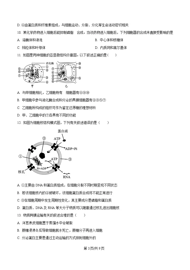 黑龙江省大庆市让胡路区大庆中学2024-2025学年高一下学期4月月考生物试题(原卷版)第3页