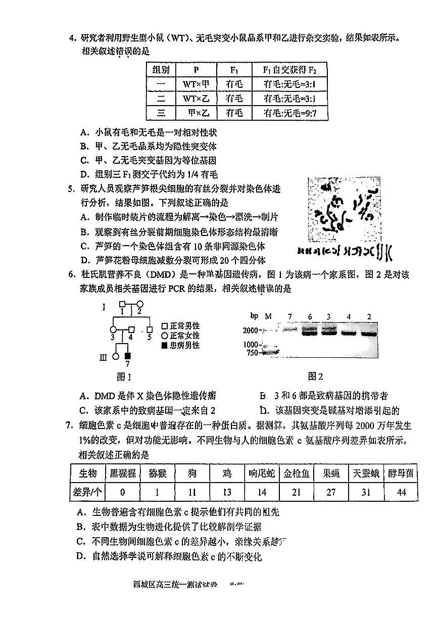 2025北京西城高考一模生物试题及答案第2页