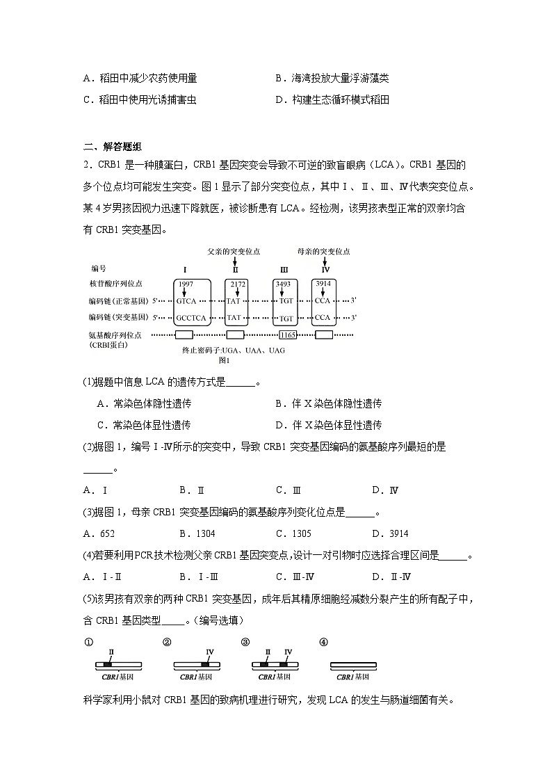 2024年上海市高中学业水平等级性考试生物试卷(无答案)第2页