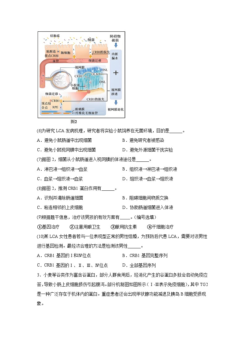 2024年上海市高中学业水平等级性考试生物试卷(无答案)第3页