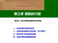 3.5《光合作用將光能轉(zhuǎn)化為化學(xué)能》課件 浙科版高中生物必修一