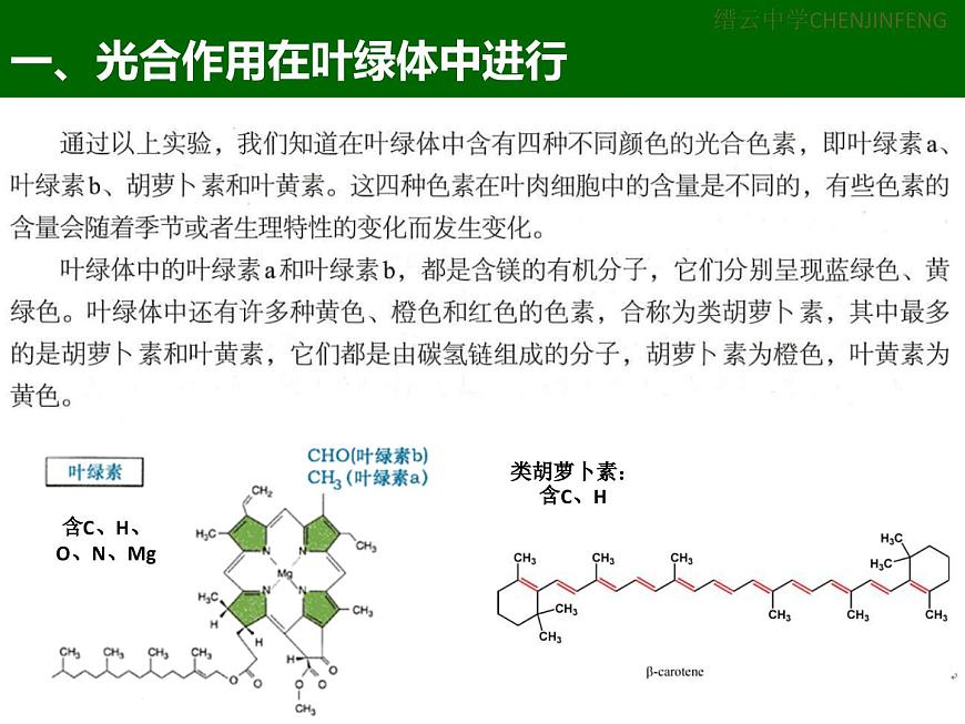 3.5《光合作用將光能轉(zhuǎn)化為化學(xué)能》課件 浙科版高中生物必修一第3頁