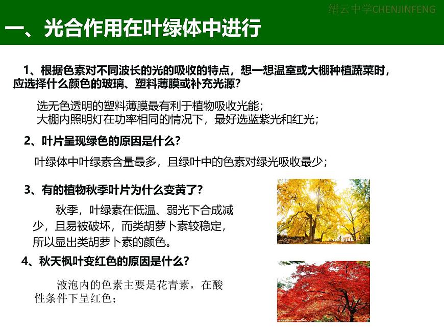 3.5《光合作用將光能轉(zhuǎn)化為化學(xué)能》課件 浙科版高中生物必修一第4頁