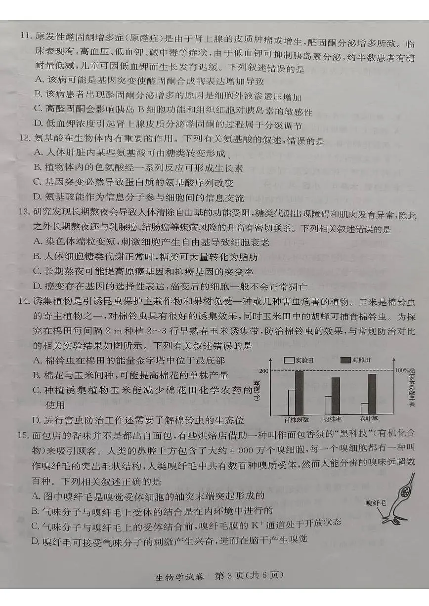 2024年5月广西省桂林、来宾、北海高三三模 生物试卷(含答案)第3页