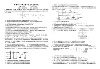 湖南省常德市第一中学2024-2025学年高三上学期第一次月考生物试题（含答案）