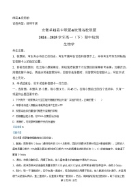 安徽省卓越县中联盟＆皖豫名校联盟2024-2025学年高一下学期期中检测生物（蚌埠专版)试题 含解析