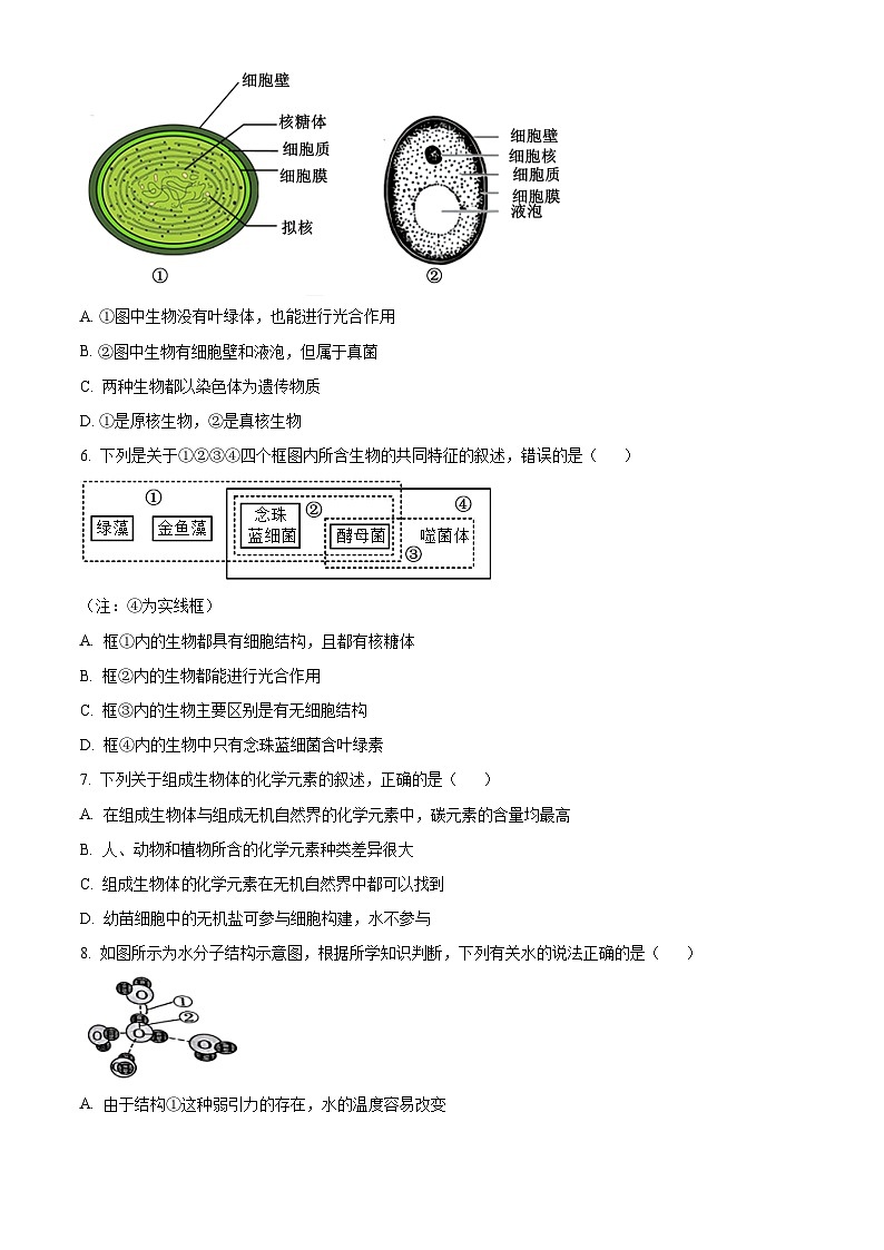 湖北省鄂东南省级示范高中2024-2025学年高一上学期起点考试生物试题(含答案)第2页