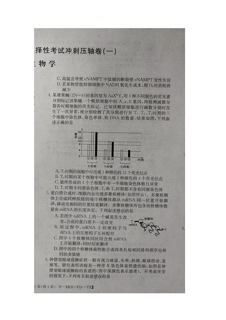 2024届高三下学期5月高考冲刺压轴卷(一)生物试卷(含答案)第2页