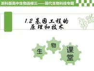 4.1《基因工程的原理和技術(shù)》課件浙科版高中生物選擇性必修三