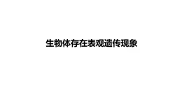 3.5《生物體存在表觀遺傳現(xiàn)象》課件 人教版高中生物選擇性必修2