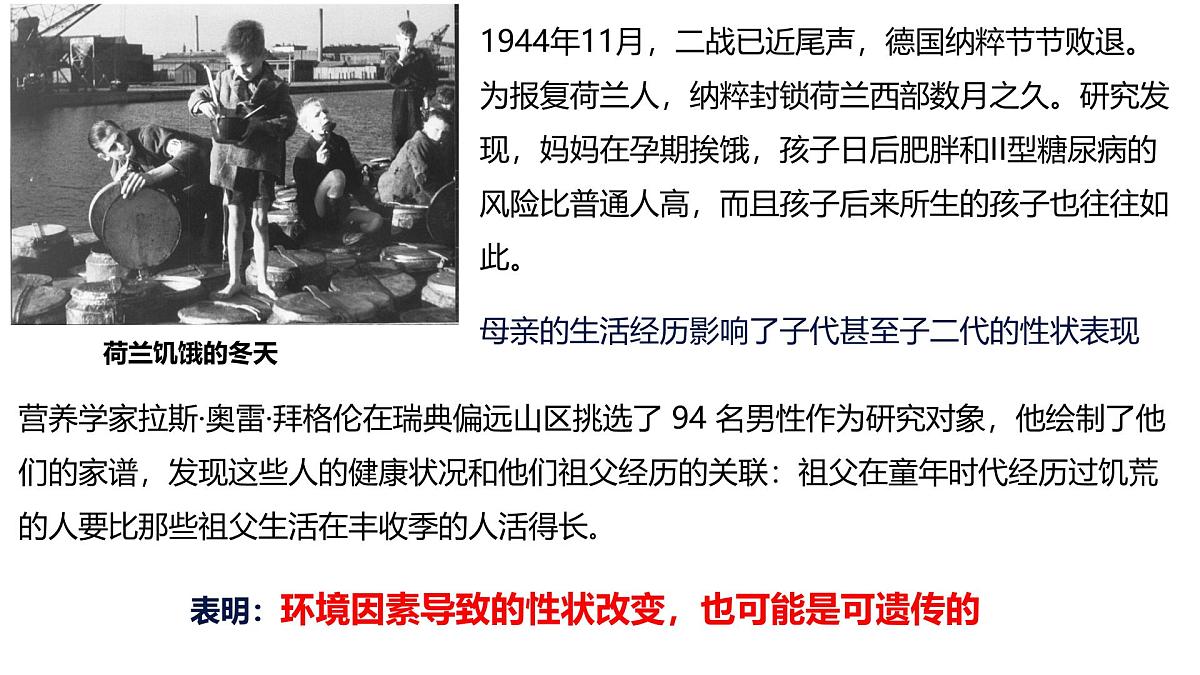 3.5《生物体存在表观遗传现象》课件 人教版高中生物选择性必修2第4页