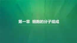 1.1《 細胞的分子組成-蛋白質和核酸》課件 人教版高中生物選擇性必修一