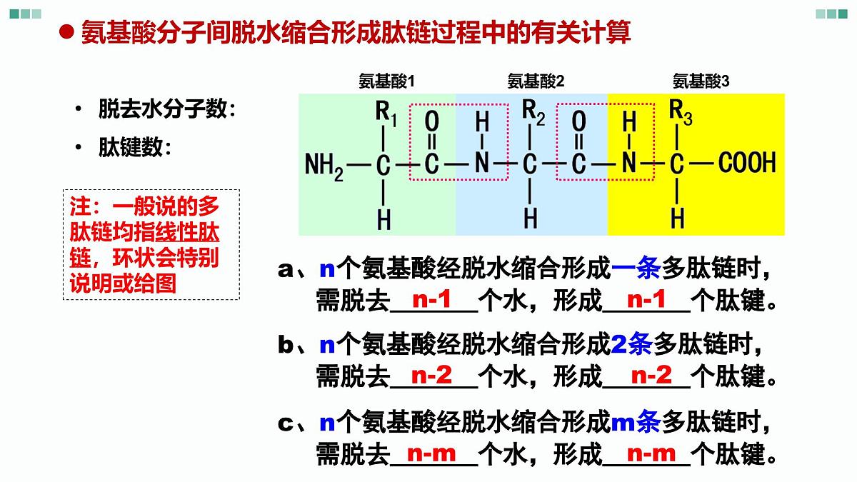 1.1《 细胞的分子组成-蛋白质和核酸》课件 人教版高中生物选择性必修一第8页