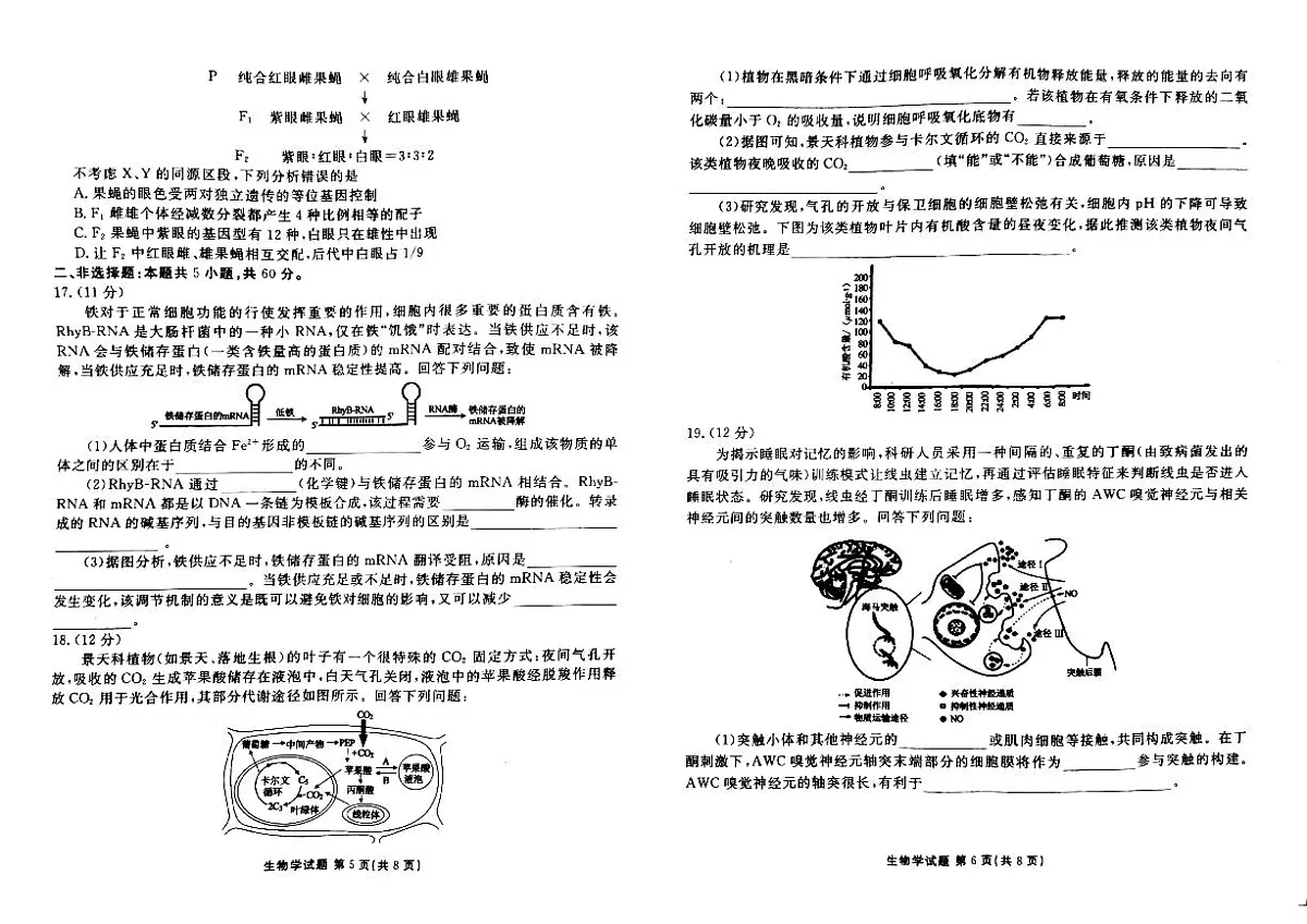 广东省衡水金卷2024届高三年级2月份大联考 生物试卷(含答案)第3页
