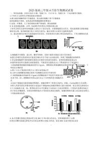 【生物试题+标答】江苏省 海安中学、金陵中学、宿迁中学2025接高三下学期4月份月考含答案解析