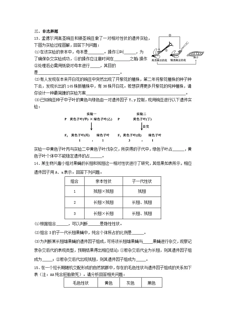 高中人教版生物必修2同步作业及答案-第1章 第1节(一) 孟德尔的豌豆杂交实验第3页