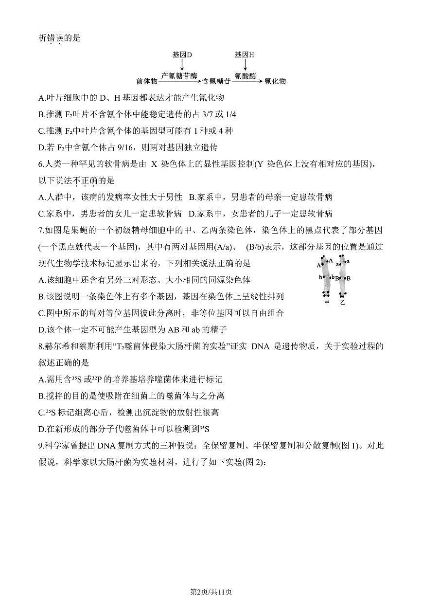 2025北京和平街一中高一(下)期中真题生物试卷(教师版)第2页